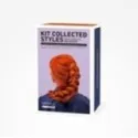 Bifull Collected Styles Kit Especial Recogidos | Perfect Beauty