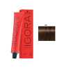 TINTE IGORA ROYAL Nº6.6 60ML