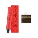 Schwarzkopf IGORA ROYAL Coloración 7.4 Castaño Claro Dorado 60ml | Schwarzkopf Professional