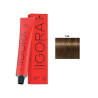 TINTE IGORA ROYAL Nº7.55 60ML