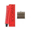 Schwarzkopf Professional IGORA ROYAL Coloración 8.1 Rubio Claro Ceniza 60ml | Schwarzkopf Professional