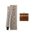 Schwarzkopf IGORA ROYAL ABSOLUTES Coloración 7.70 | ROYAL ABSOLUTES