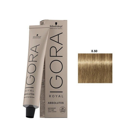 IGORA ABSOLUTES 8.60