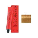 Schwarzkopf Igora Royal Coloración 9.7 Rubio Claro Dorado 60ml | Schwarzkopf Professional