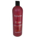 EMULSION REVELADORA 1000 ML | Exitenn
