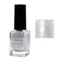 Max Point Esmalte NºBR19 Plata 15ml | Max Point Belleza