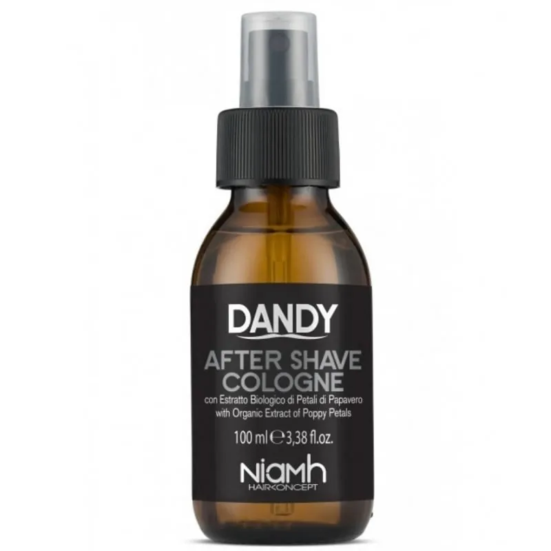 Dandy Colonia After Shave 100 ml | Dandy
