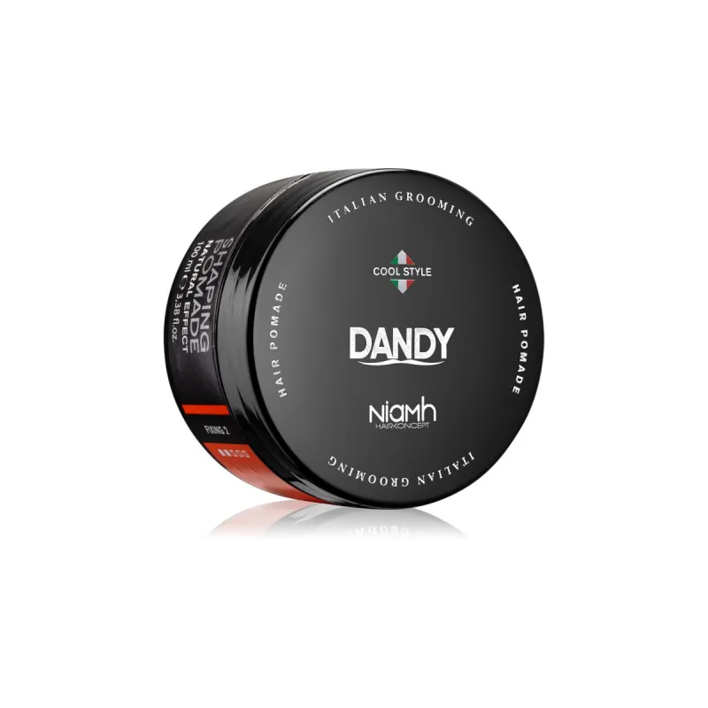 Dandy Italian Grooming Pomada Cool Style | Dandy