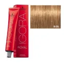 Schwarzkopf Igora Royal Coloración 8.55 60ml | Schwarzkopf Professional