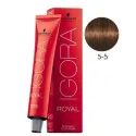 Schwarzkopf Igora Royal Coloración Permanente 5-5 60ml | Schwarzkopf Professional