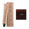 Schwarzkopf IGORA ROYAL Coloración Permanente 5-80 | ROYAL ABSOLUTES