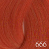 TINTE SINTESIS Color 666 (1+1.5)*