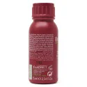 Exitenn Profesional Emulsión Oxidante 10 vol 75ml - reverso (INCI / modo de empleo)