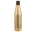 Salerm G+ Champú Específico para Cabello Graso 250ml - reverso (INCI / modo de empleo)