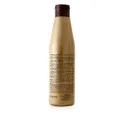 Salerm Equilibrium Champú Equilibrador 250ml - reverso (INCI / modo de empleo)