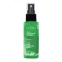 HIGIENIZANTE HIDROALCOHOLICO EN SPRAY 100ML